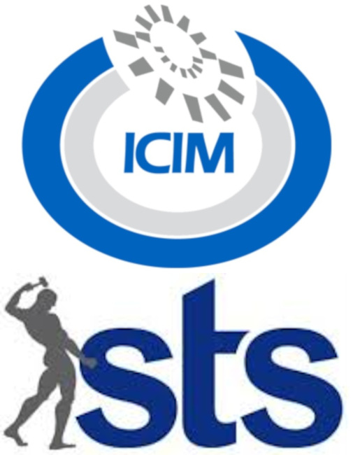 ICIM + sts